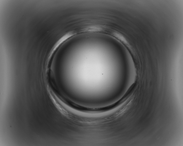 X0000086101426200703301204