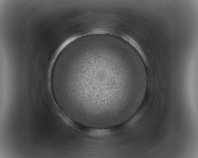X0000086101427200703301204
