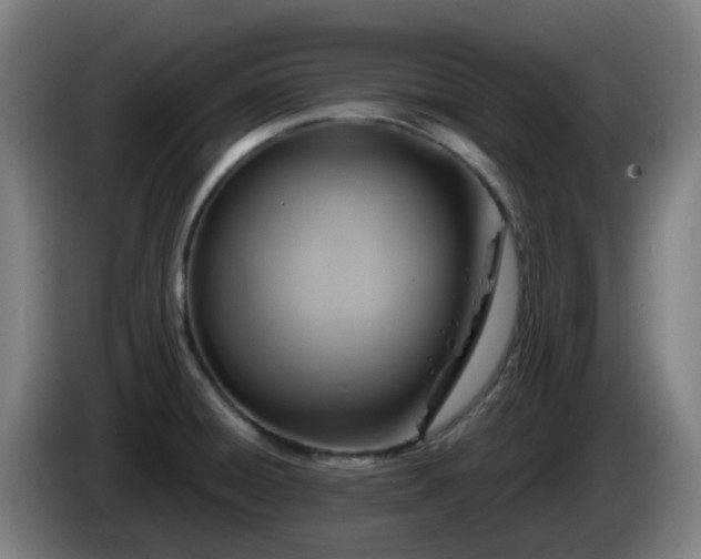 X0000086101428200703301204