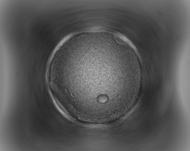X0000086101429200703301204