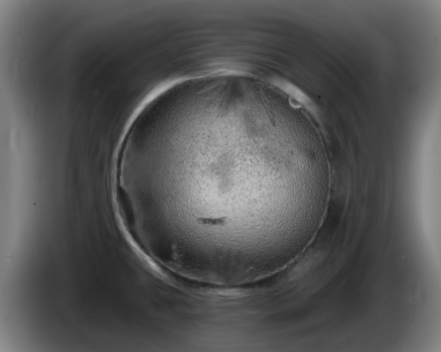 X0000086101431200703301205