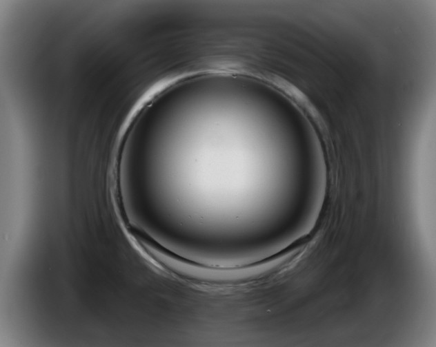 X0000086101432200703301205