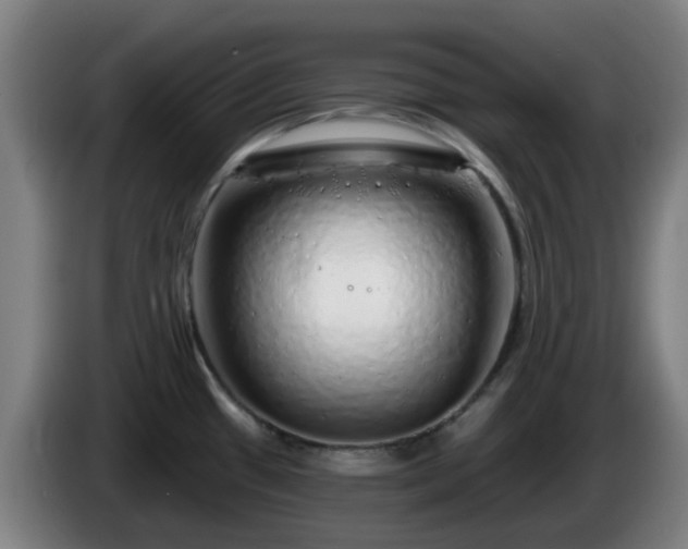 X0000086101433200703301205