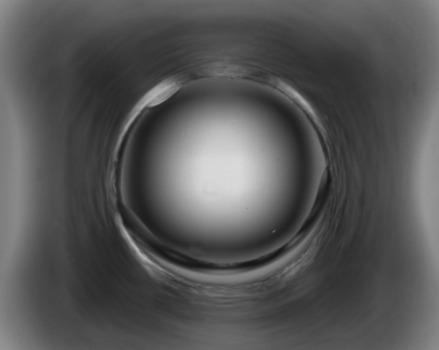 X0000086101434200703301205