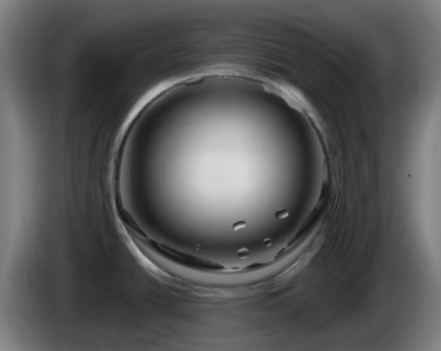 X0000086101438200703301205