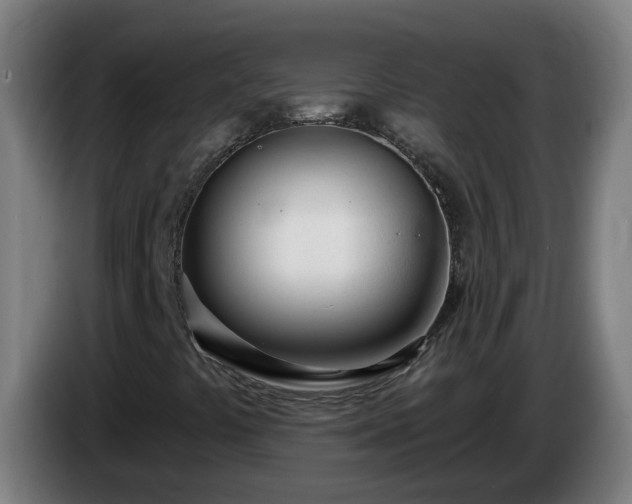 X0000086101441200703301204