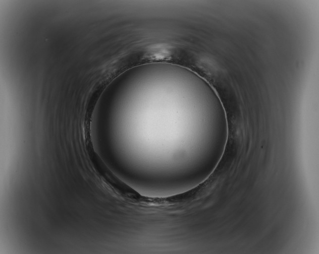 X0000086101442200703301204