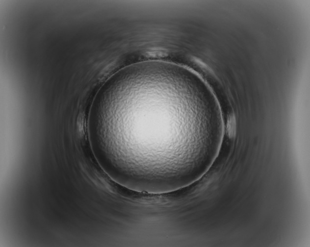 X0000086101444200703301204