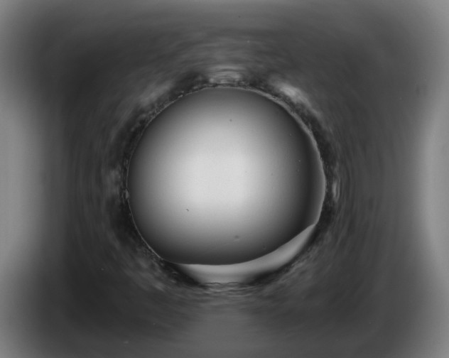X0000086101445200703301204
