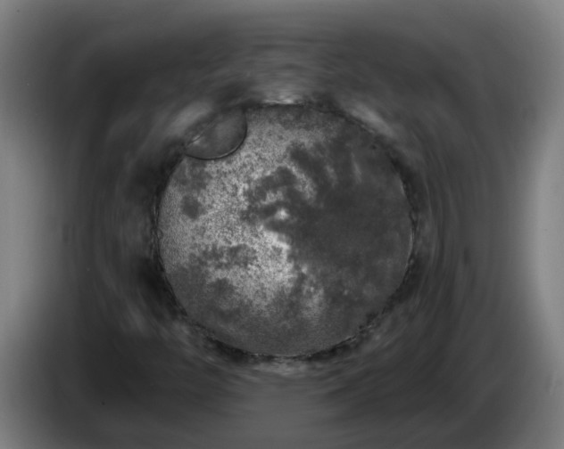 X0000086101446200703301204