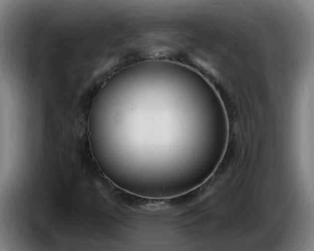X0000086101447200703301204
