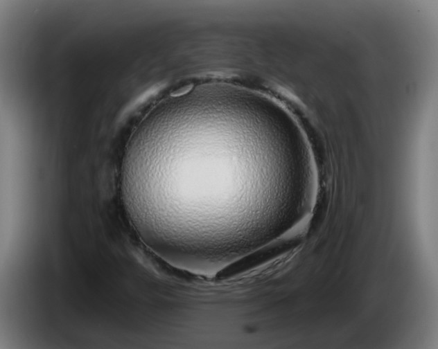 X0000086101448200703301204
