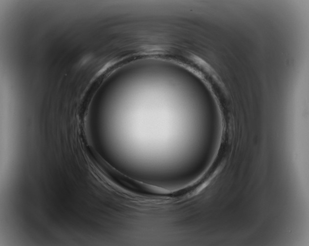 X0000086101449200703301204
