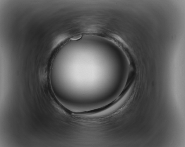 X0000086101450200703301204