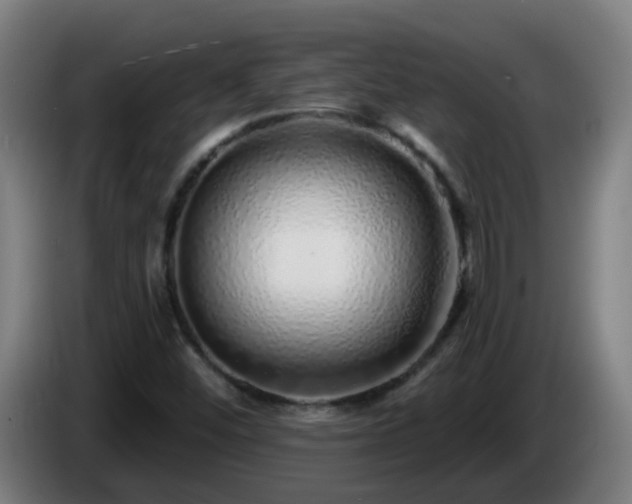 X0000086101452200703301204