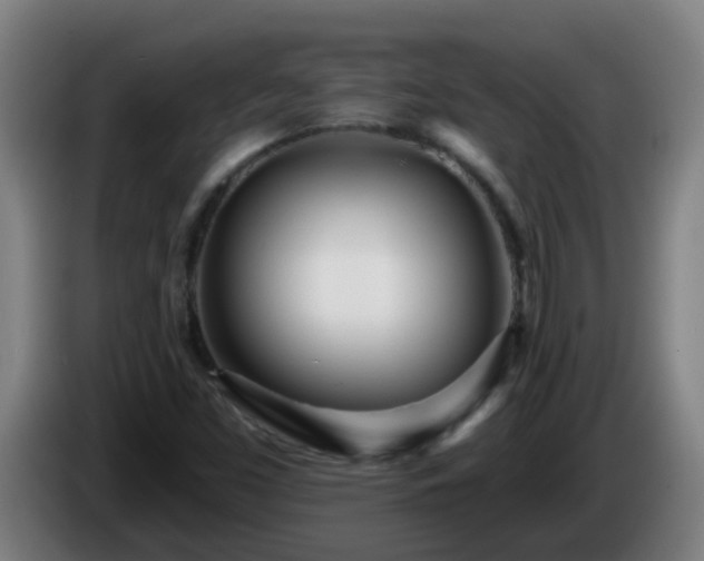 X0000086101453200703301204