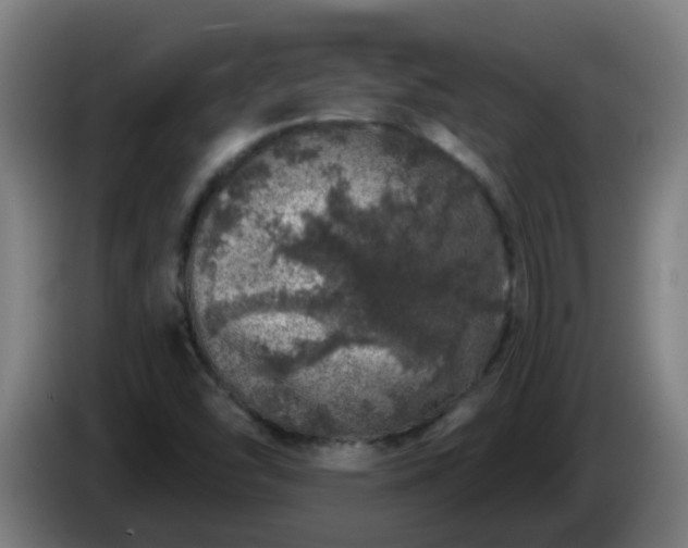 X0000086101454200703301203