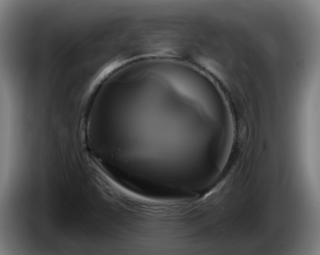 X0000086101455200703301203