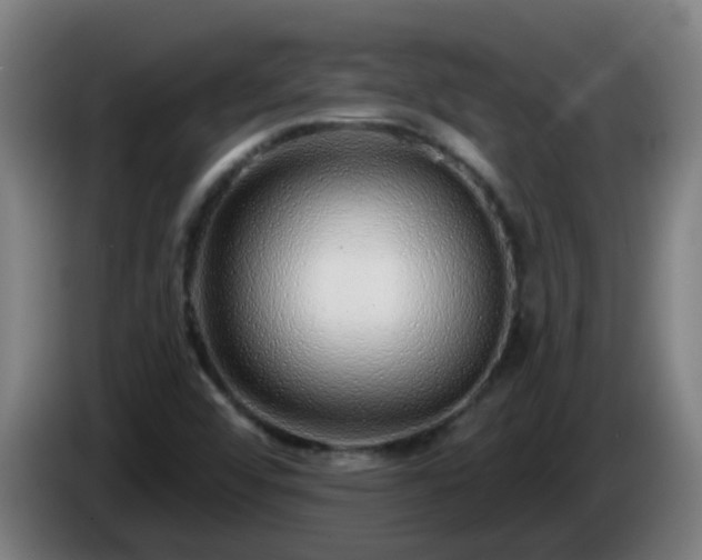 X0000086101456200703301203
