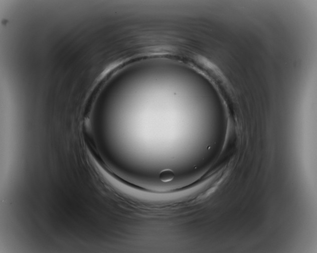X0000086101457200703301203