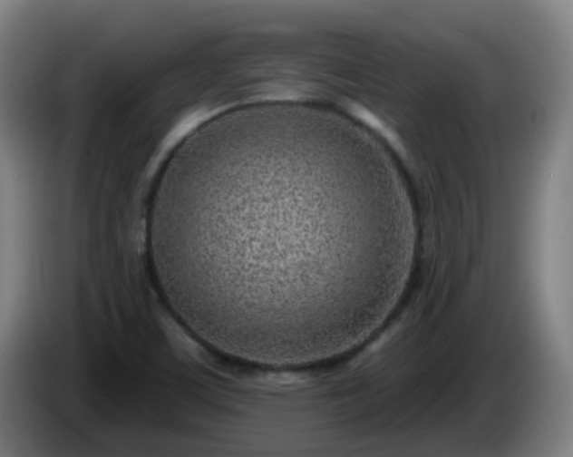 X0000086101459200703301203