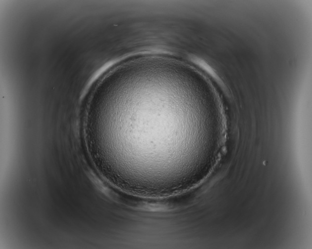 X0000086101460200703301203