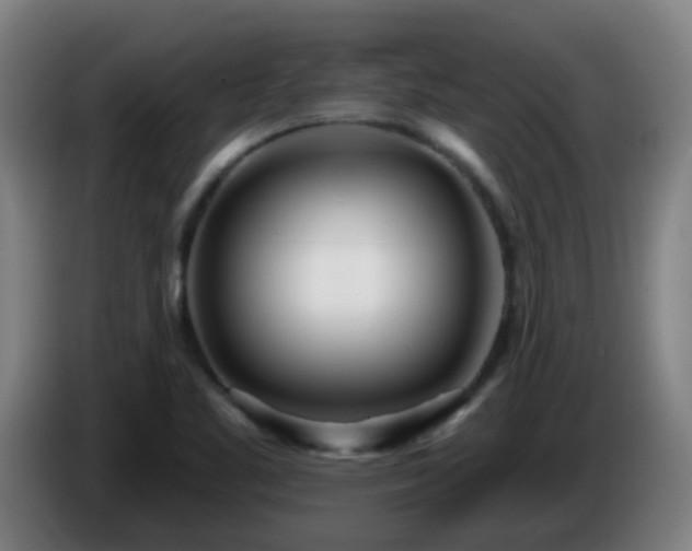 X0000086101461200703301203