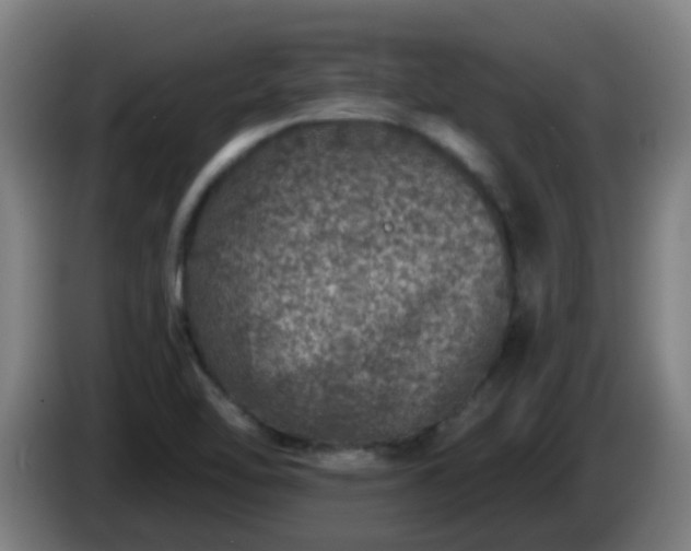 X0000086101462200703301203