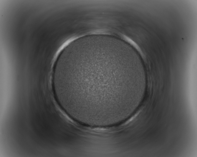 X0000086101463200703301203