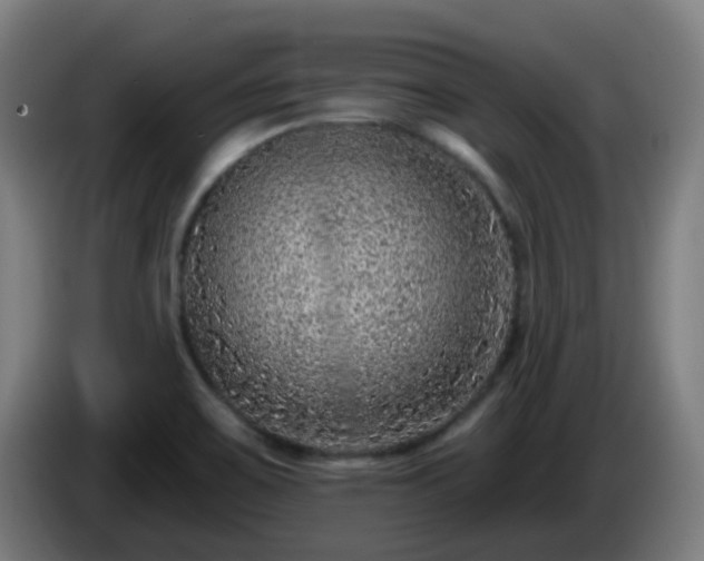 X0000086101467200703301203
