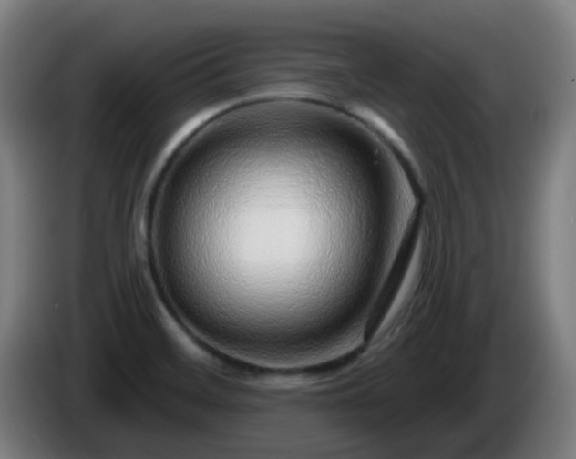 X0000086101468200703301203