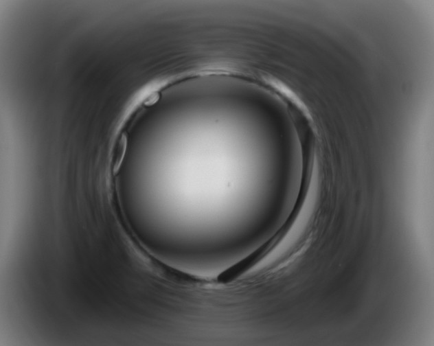X0000086101469200703301203