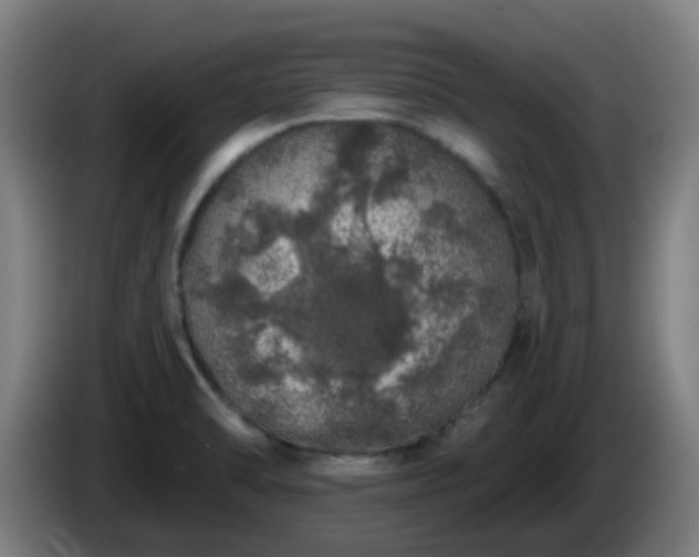 X0000086101470200703301203