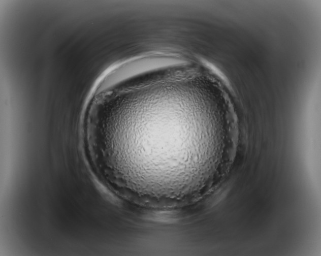 X0000086101471200703301203
