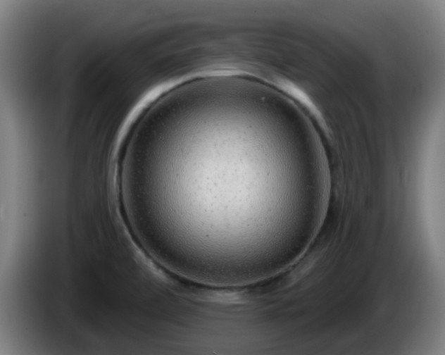 X0000086101472200703301203