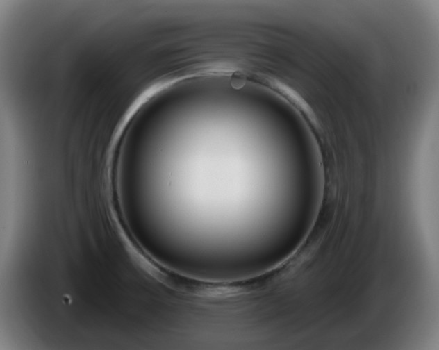 X0000086101475200703301203