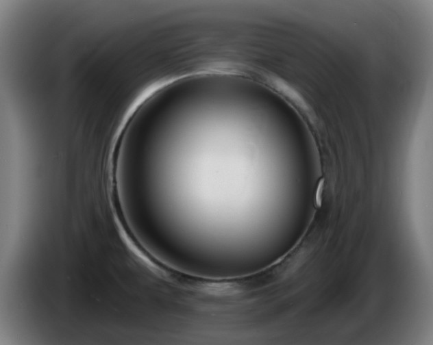 X0000086101479200703301203