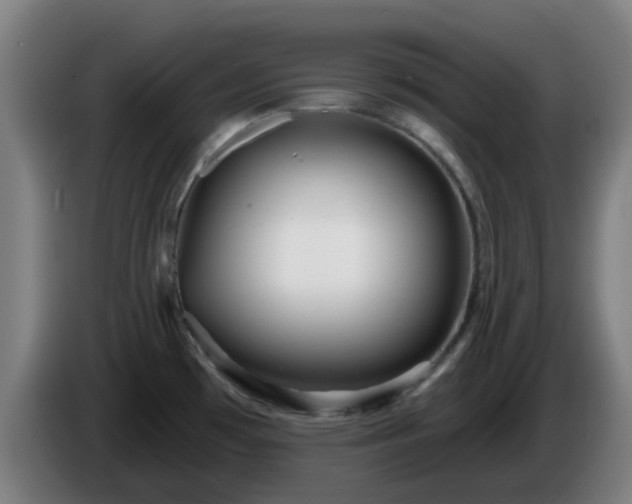 X0000086101481200703301203