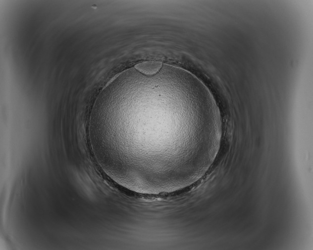 X0000086101489200703301202