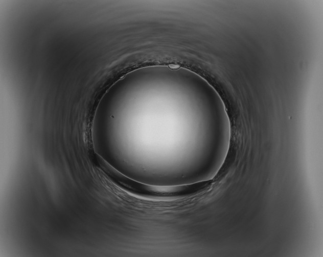 X0000086101490200703301202