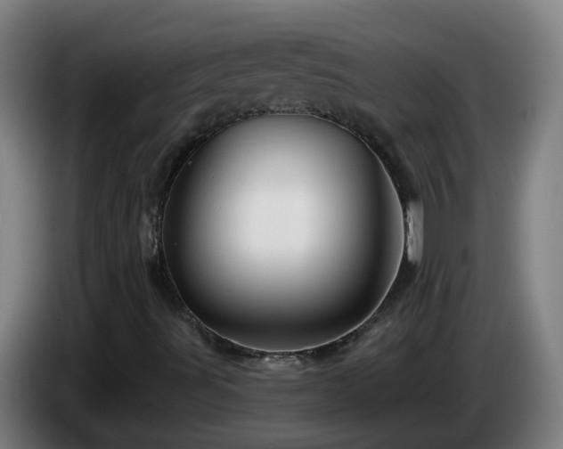 X0000086101491200703301202