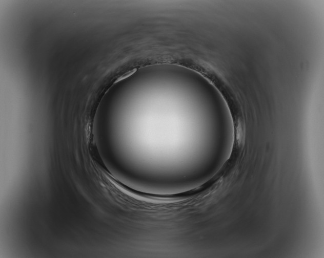 X0000086101492200703301202
