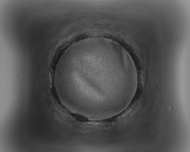 X0000086101493200703301202