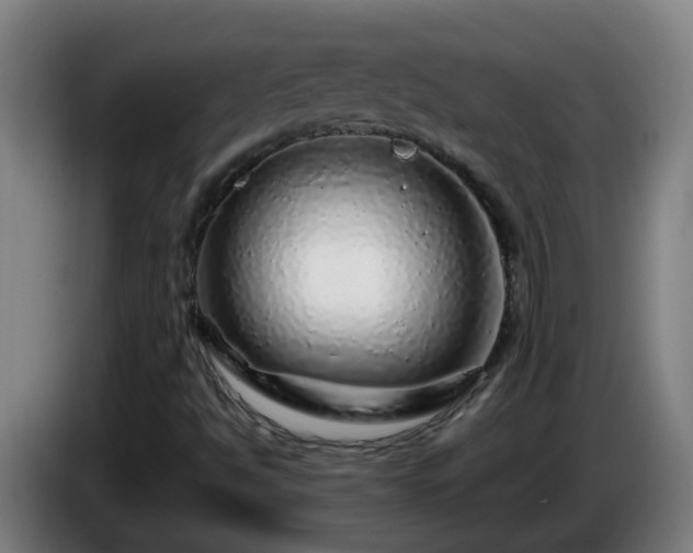 X0000086101494200703301202