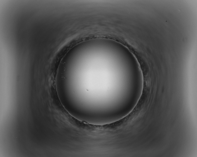 X0000086101495200703301202
