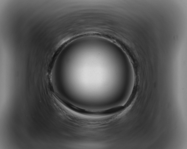 X0000086101497200703301202