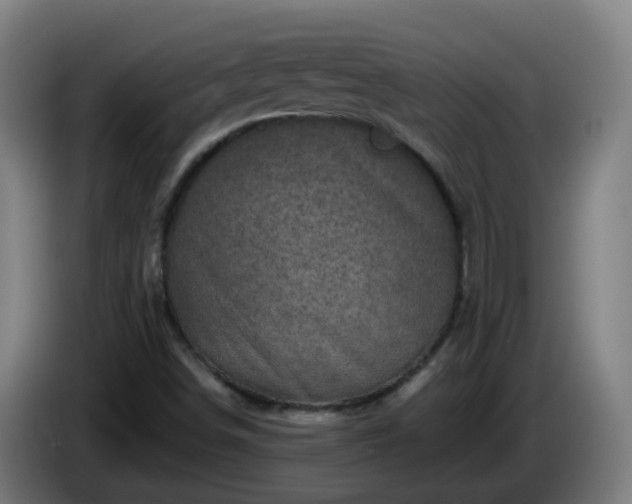 X0000086101498200703301202
