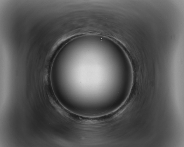 X0000086101499200703301202