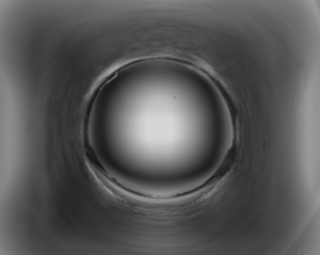 X0000086101500200703301202