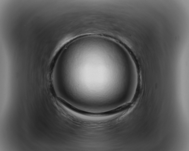X0000086101501200703301202